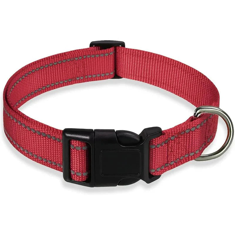 Reflective Nylon Dog Collar – Adjustable Safety Strap