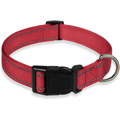 Reflective Nylon Dog Collar – Adjustable Safety Strap