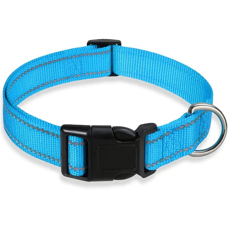 Reflective Nylon Dog Collar – Adjustable Safety Strap