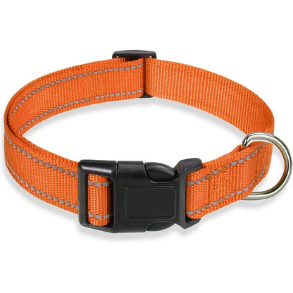 Reflective Nylon Dog Collar – Adjustable Safety Strap