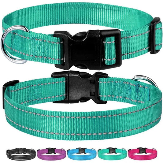 Reflective Nylon Dog Collar – Adjustable Safety Strap