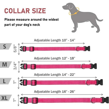 Reflective Nylon Dog Collar – Adjustable Safety Strap