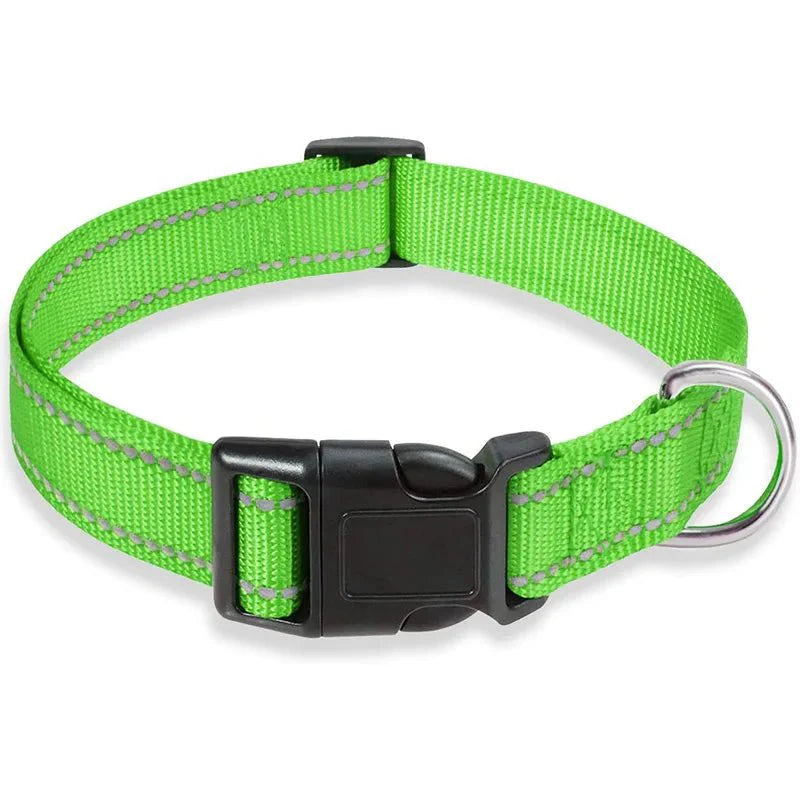 Reflective Nylon Dog Collar – Adjustable Safety Strap
