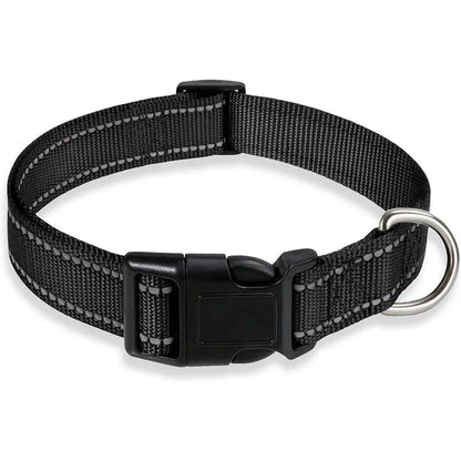 Reflective Nylon Dog Collar – Adjustable Safety Strap