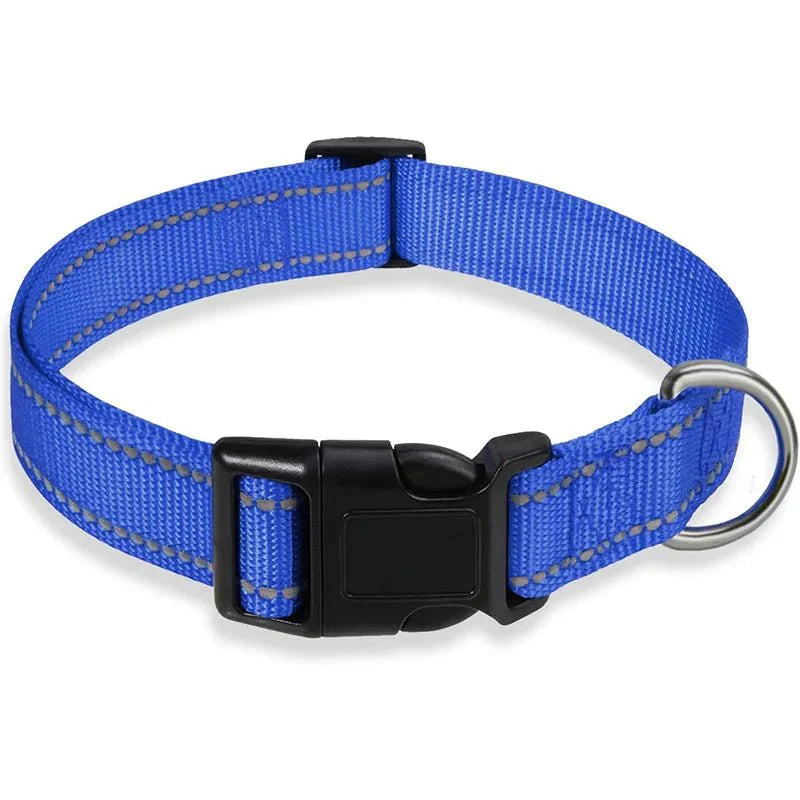 Reflective Nylon Dog Collar – Adjustable Safety Strap