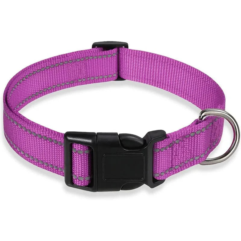 Reflective Nylon Dog Collar – Adjustable Safety Strap