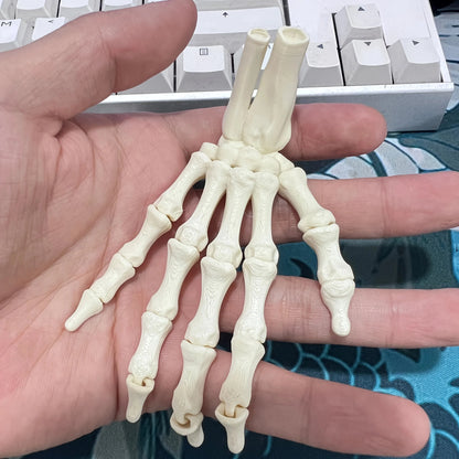 Scary Skull Skeleton Hands | Halloween Party Props & Haunted House Decoration
