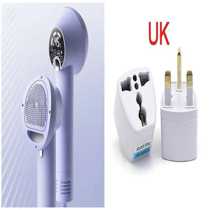 Smart 2-in-1 Pet Hair Dryer with Digital Display