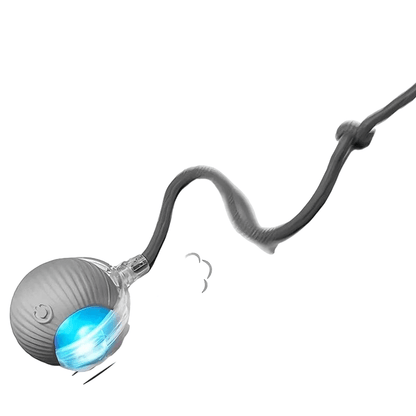 Smart Interactive Cat Ball – Automatic Rolling Rechargeable Toy