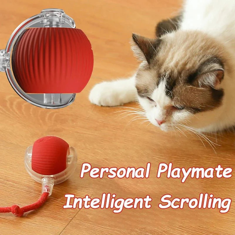Smart Interactive Cat Ball – Automatic Rolling Rechargeable Toy