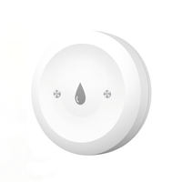 Smart Water Leak Sensor | Flood Detector with Remote Monitoring