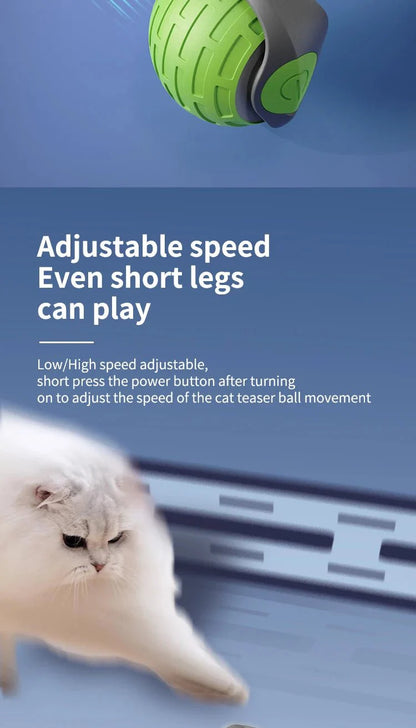 USB Rechargeable Interactive Electric Cat Toy Ball