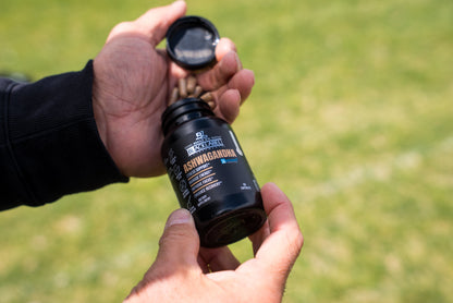 Sensoril Ashwagandha Drops | High-Potency with Black Pepper Extract